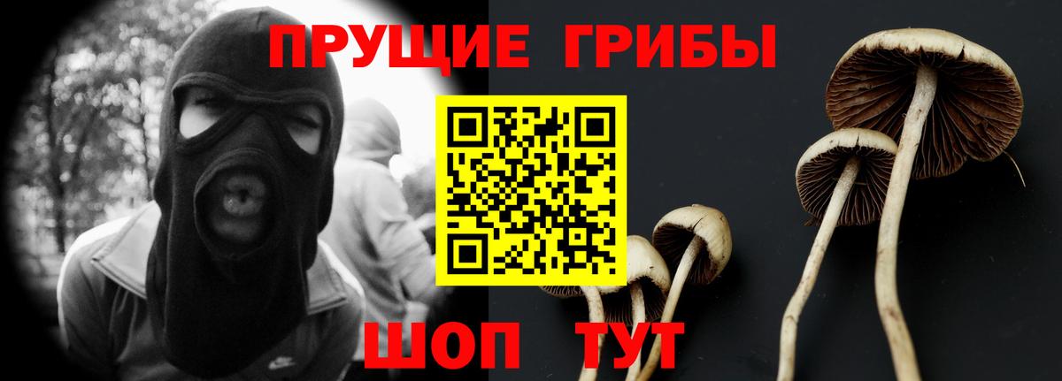 Псилоцибиновые грибы Cubensis Саранск
